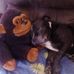 Rachel Cartwright - Facebook