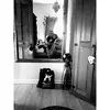Rachael Edmonds - @violetraexo - TikTok