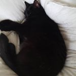 Rachael Fitzpatrick - @rachael.fitzpatrick.902 - Instagram