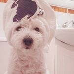 Rachel Flint - @flint_rach001 - Instagram