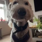 Rachael Higgins - @rachaelhiggins82 - Instagram