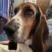 Rachael Holder - Facebook
