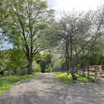 Rachel Kavanagh - @alchemyfarmstouffville - Instagram