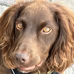 Rachael Marks - Facebook
