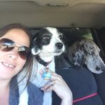 Rachael McCabe - @rachaelmcc73 - Instagram
