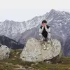 Rachael McCabe - @rachaelamc - TikTok