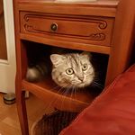 Rachel Oswald - @rachel.oswald.9 - Instagram