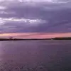 rachaelpatrick59 - @rachael.patrick - TikTok