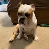 RachaelRing - @rachaelring - TikTok
