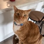 Rachel Ring - @little_ring_ - Instagram