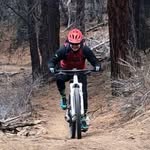 Rachel Kinsman Steck - @rksteck - Instagram