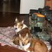 Rachel Storey - Facebook