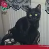 rachaelware320 - @rachaelware320 - TikTok