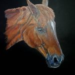 Rachael Williamson - @rachaelwfineart - Instagram
