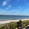 rachaelwilliamson__ - @rachaelwilliamson__ - TikTok