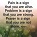 Rachael Nelson - Facebook