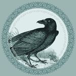 Rachael Ward - @cartographybird - Instagram