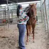 RachealWard - @bovine_queen20 - TikTok