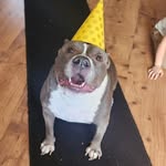 Racheal White - @altheatheburlesquebully - Instagram