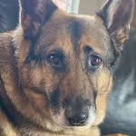 Rachel Agnes Morales Daly - @rad.hmb.50 - Instagram