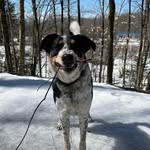 Rachel Ammon Valcour - @rachelvalcour - Instagram