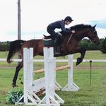 Rachel and Leah Anson 🇨🇦 - @anson.equestrian - Instagram