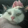 Rachel Azzopardi - @rachelazzopardi0 - TikTok