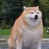 Rachel - @rachel.bartram - TikTok