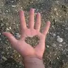 Rachell Bartram - @rachell.bartram - TikTok