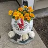 rachelbaughman - @rachelbaughman - TikTok