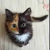 Rachel Baumgartner - @rachelthekitten - TikTok