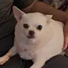 rachelbaumgartner0 - @rachelbaumgartner0 - TikTok
