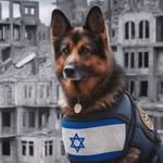 Yael BN - @rachel.bitton.35 - Instagram