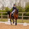 Rachel blacker - @rachblackerdressage - TikTok