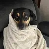 Rachel Blackert - @rachel.blackert - TikTok