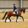 rachelblacker859 - @rachelblacker859 - TikTok
