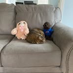 Rachel Bonds - Facebook