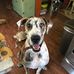 Rachel Branham - Facebook