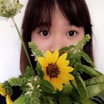 Rachel Bui - @rachelbuipics - Instagram