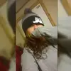 Rachel Burrell - @dragon.u.men - TikTok
