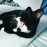 Rachel Button - @rachelmegbutton - Instagram