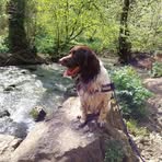 Rachel Button - Facebook