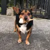🇮🇪rachelbyrne57 🇮🇪 - @rachelbyrne570 - TikTok