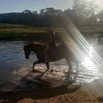 Rachel Case - @rach_case - Instagram