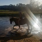 Rachel Case - Facebook