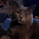 Rachel Catt - @momcatt70 - Instagram