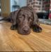 Rachel Clegg - Facebook