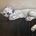 Rachel Klecker Clegg, Fine Artist - Facebook
