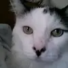 Rachel Cottrell - @rachel.cottrell24 - TikTok