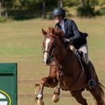 rachel coyle - @rachelc.eq - Instagram